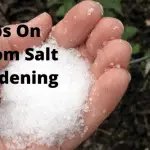 tips on epsom salt gardening