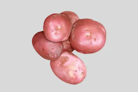 Grow Desiree Potatoes