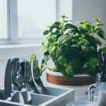 Simple Ideas for Your Kitchen Herb Garden