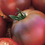 How to Grow Black Russian Tomatoes
