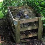 What Do I Put At The Bottom Of My Compost Bin?