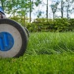 What To Do After Scarifying Lawn