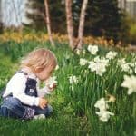 15 Gardening Activities for Preschoolers and Children Alike